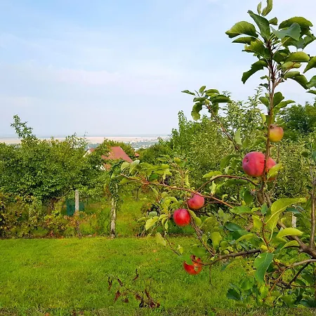 Panorama Bor Es Elmenylak Appartement Szekszárd