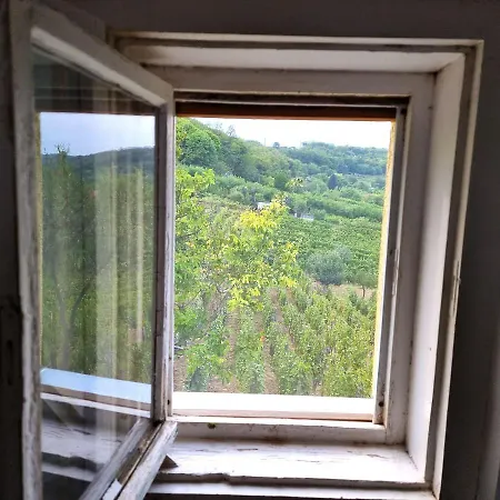 Panorama Bor Es Elmenylak